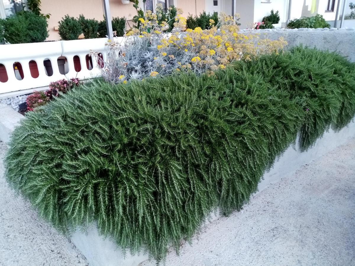 Apartment Lana Senj  Dış mekan fotoğraf